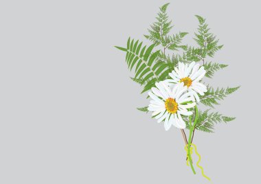 white daisy flowers bouquet with fern and jasmine flower . isolated picture on background clipart