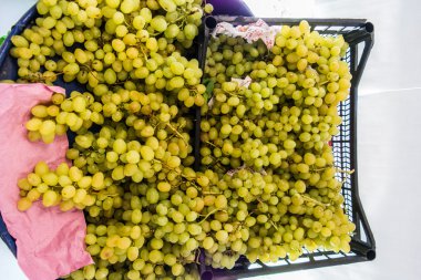 Süpermarkette üzüm