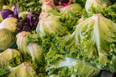 süpermarkette marul.