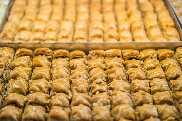 Ceviz / Türk tatlı baklava — Stok fotoğraf