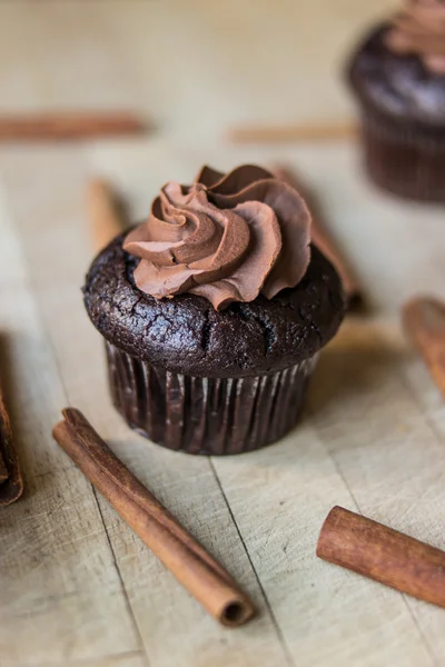 Magdalena de chocolate con palitos de canela . —  Fotos de Stock