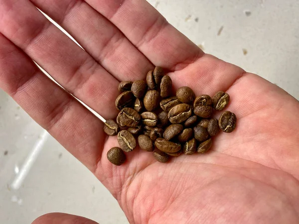 Hand Hold Roasted Coffee Beans Ready Use Grind — Stock Photo, Image