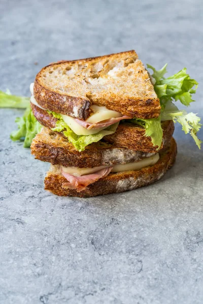 Sándwich Carne Asada Medio Cortada Con Pan Tostado Queso Mozzarella — Foto de Stock