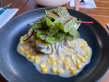 Minekop Umbrina sirrosası. Mısır soslu Umbra Balığı İyi Yemek Restoranı 'nda servis ediliyor. Geleneksel Yemek.