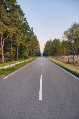 Lueneburg Heath 'deki koyun ağılında sıcak sabah güneşi altında huş ağaçları ve fundalıkların arasında kırsal sonbahar atmosferini ve kuzey Almanya' daki doğal güzellikleri yakalıyor..