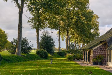 Norg, Hollanda; 9 Ekim 2025: Yenilenmiş Drenthe çiftlik evinin manzarası sazdan çatı ve kırsal alandaki yaşamı gösteren kırmızı tuğla duvarlar.