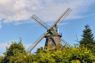 Grevensmuehlen, Almanya; 27 Eylül 2025: Çömlekçi stüdyosu ile Hollanda tarzı yerleşik bir yel değirmeni, miras ve işçiliği yansıtan, mavi gökyüzünün altındaki yeşillikte duruyor..