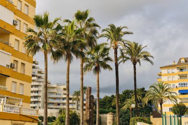 Benalmadena Costa del Sol İspanya 'da bulutlu bir gökyüzünün altında apartmanlar ve palmiye ağaçları. Burası turizm ve tatil için popüler bir tatil beldesi..