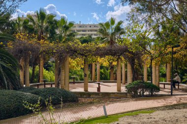 Benalmadena, İspanya - 24 Aralık 2025: Bu stok fotoğrafı Benalmadena Costa del Sol İspanya 'da güneşli bir günde bir pergola ağacı ve bankların yer aldığı sakin bir park sahnesini çekiyor..