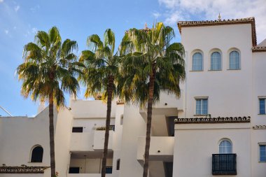 Palmiye ağaçları Benalmadena Costa del Sol İspanya 'daki beyaz binaların zemininde dikiliyor. Mavi gökyüzünün altında mimari balkonlar ve pencereler sergileniyor..