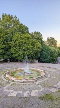 Varşova Polonya 'da park kaldırımında yeşil ağaçlar ve arka planda patika olan süs pusula gül tasarımını gösteren dekoratif dairesel taş mozaiği. Yüksek kalite fotoğraf