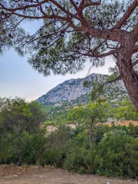 Mediterranean landscape features rugged mountain slopes with scattered pine trees and wild vegetation under clear blue sky near Antalya Turkey. High quality photograph