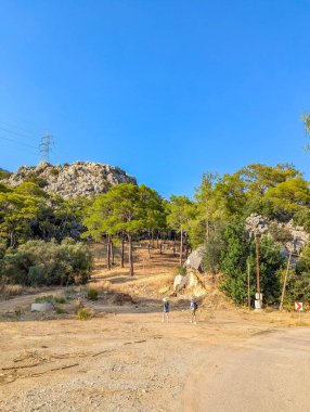 Antalya, Türkiye, 1 Mayıs 2025. Akdeniz kırsalında zeytin koruluğu ve dağılmış ağaçlarla dramatik kayalık dağların altında Antalya Türkiye yakınlarında açık mavi gökyüzü altında. Yüksek kalite fotoğraf