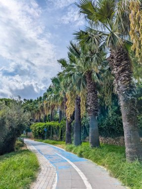 Akdeniz kıyısı boyunca uzanan kıyı yolu, yüksek palmiye ağaçları ve Antalya Türkiye yakınlarında dramatik bulutlu bir gökyüzü ile esiyor. Yüksek kalite fotoğraf