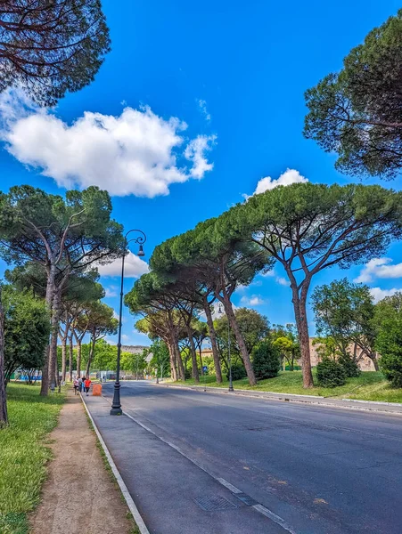 Roma, İtalya, Mayıs 01, 2025. İtalya 'daki Villa Borghese bahçelerinde, Akdeniz taşından çam ağaçları ve parlak mavi gökyüzünün altında park bankları olan huzurlu ağaçlarla kaplı bir cadde. Yüksek kalite fotoğraf