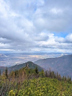 Lush green mountain slopes with mixed evergreen forest under blue sky with white clouds in Tatra Mountains Zakopane Poland. High quality photograph