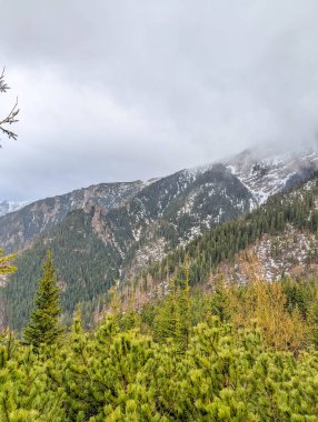 Dramatic view of snow-capped Tatra Mountains peaks with rocky slopes and evergreen forest in foreground under grey clouds Zakopane Poland. High quality photograph