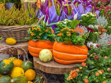 Colorful autumn market display featuring yellow squash orange pumpkins and vibrant flowers in decorative arrangement at Krakow Poland. High quality photograph