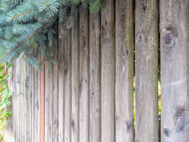 Weathered wooden fence with peeling turquoise paint showing natural aging and deterioration texture pattern. High quality photograph.