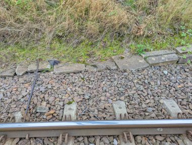 Varşova, Polonya, 20 Ekim 2025. Warszawska Kolej Dojazdowa WKD istasyonu Varşova Polonya 'da çakıl ağırlıklı tren rayları. Yüksek kalite fotoğraf