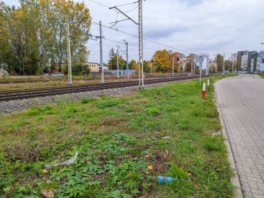 Varşova, Polonya, 20 Ekim 2025. Warszawska Kolej Dojazdowa WKD istasyonu Varşova Polonya 'da sonbahar ağaçları ve tepedeki elektrik sistemiyle demiryolu platformu. Yüksek kalite fotoğraf