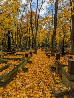 Polonya 'nın Varşova kentindeki Powazki Mezarlığı' nda sonbahar ormanı boyunca uzanan günışığı mezarlık yolu. Yüksek kalite fotoğraf.