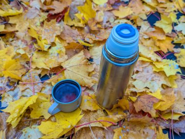 Varşova Polonya 'daki Powzki Mezarlığı' nda altın sonbahar yapraklarının üzerinde duran mavi bardaklı paslanmaz çelik termos. Yüksek kalite fotoğraf.
