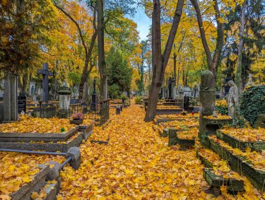 Varşova, Polonya, Mayıs 01, 2025. Varşova 'daki tarihi Powzki Mezarlığı' nda sonbahar yaprakları ve mezar taşlarıyla dolu ağaç sıralı mezarlık bulvarı. Yüksek kalite fotoğraf.