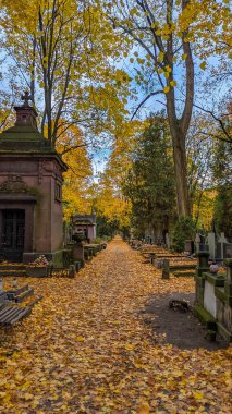 Varşova, Polonya, Mayıs 01, 2025. Varşova 'daki Powzki Mezarlığı' nda sonbahar mezarlığı sokağında altın yapraklar ve tarihi anıtlar mevcuttur. Yüksek kalite fotoğraf.
