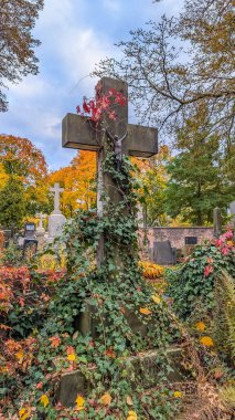 Varşova Polonya Mezarlığı 'nda sonbahar ağaçları ve yeşilliklerle çevrili tarihi mezarlık anıtı. Yüksek kalite fotoğraf.