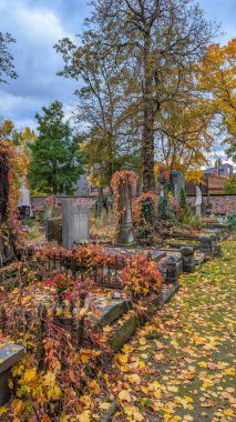 Varşova, Polonya, Mayıs 01, 2025. Varşova Polonya 'daki Powzki Mezarlığı' ndaki sonbahar yeşillikleri ve çeşitli anıtlarla dolu mezarlık arazileri yıkılıyor. Yüksek kalite fotoğraf.