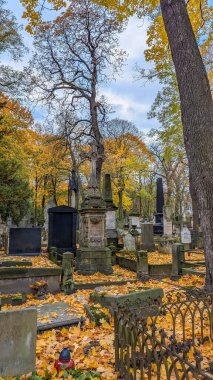 Varşova, Polonya, Mayıs 01, 2025. Powazki Mezarlığı 'nın sonbahar ağaçlarıyla çevrili kemerli girişi olan tarihi taş anıt mezar Varşova Polonya anıtı. Yüksek kalite fotoğraf.