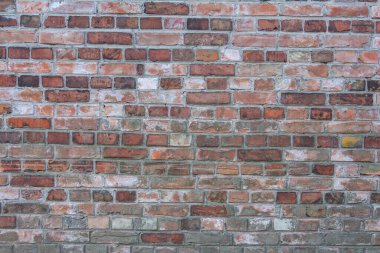 Varşova Polonya 'nın tarihi Powazki Mezarlığı' nda alçıdan zarar görmüş kırmızı tuğlalar sergileniyor. Yüksek kalite fotoğraf