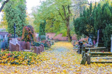 Varşova, Polonya, Mayıs 01, 2025. Varşova Polonya Mezarlığı 'ndaki huzurlu patika boyunca sonbahar ağaçlarının altında anıtsal çiçeklerle mezarlık mezarları. Yüksek kalite fotoğraf