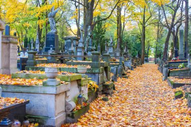 Varşova, Polonya, Mayıs 01, 2025. Mezarlık yolu, Varşova 'daki tarihi Powazki Mezarlığı' nda sonbahar yaprakları ve mezar anıtlarıyla kaplıydı. Yüksek kalite fotoğraf