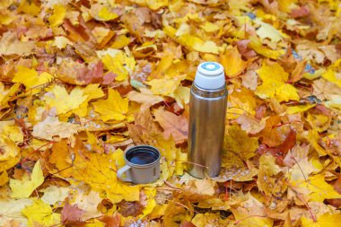 Varşova Polonya Mezarlığı 'nda paslanmaz çelik termos şişesi ve altın sonbahar yaprakları üzerine kamp kupası düşüyor. Yüksek kalite fotoğraf