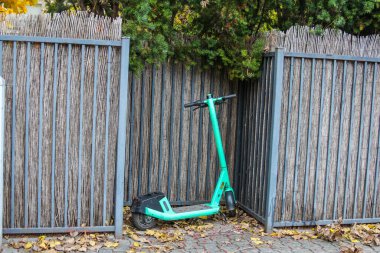 Yeşil boyalı çocuklar, Varşova yerleşim alanındaki sonbahar yaprakları yakınlarında metal çitlerde sallanıyorlar. Yüksek kalite fotoğraf.