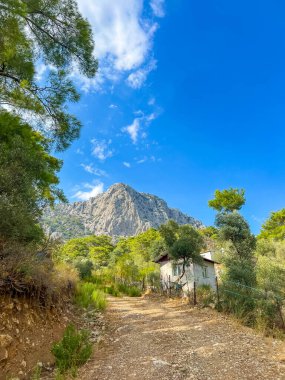Varşova Polonya kentsel bölgesinde yeşil çitli elektrik direğine yakın inşaat atık konteynırları ve malzemeler. Yüksek kalite fotoğraf.