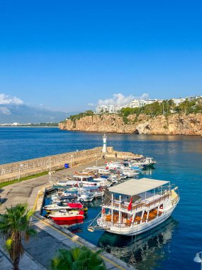 Varşova Polonya kentsel bölgesinde yeşil çitli elektrik direğine yakın inşaat atık konteynırları ve malzemeler. Yüksek kalite fotoğraf.