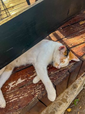 Varşova Polonya kentsel bölgesinde yeşil çitli elektrik direğine yakın inşaat atık konteynırları ve malzemeler. Yüksek kalite fotoğraf.