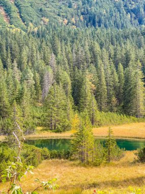 Dağ Gölü, Zakopane Polonya Tatra Ulusal Parkı bölgesinde yoğun kozalaklı orman ve altın çayır ile dağlık araziyi yansıtır. Yüksek kalite fotoğraf.
