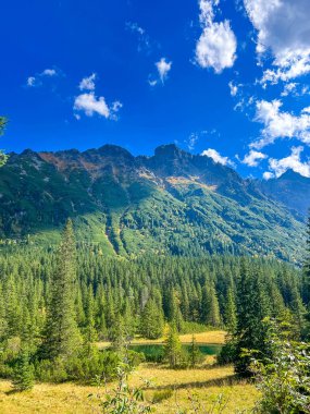 Zakopane Polonya 'daki mavi gökyüzünün altında her zaman yeşil ormanları ve dramatik kaya zirveleriyle geniş Tatra dağı vadisi. Yüksek kalite fotoğraf.