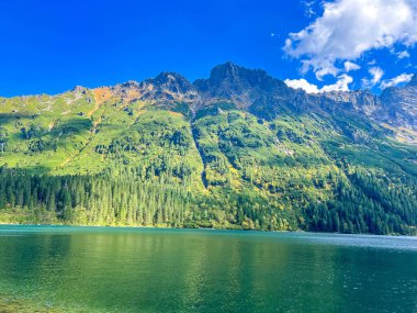 Zakopane Polonya 'daki yeşil ormanlık Tatra yamaçlarının ve mavi gökyüzünün altındaki kayalık tepelerin mükemmel yansıması olan dağ gölü. Yüksek kalite fotoğraf.