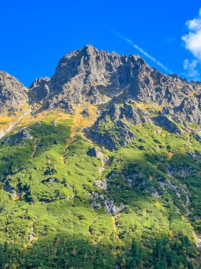 Zakopane Polonya yaz panoramasında mavi gökyüzünün altında sarp yeşil yamaçları ve kayalık zirveleri olan görkemli Tatra sıradağları. Yüksek kalite fotoğraf.