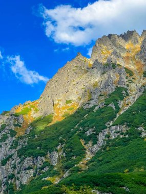 Zakopane Polonya 'nın yüksek dağlık bölgesinde sonbahar renkli yamaçları ve yeşil orman parçalarıyla yükselen kayalık Tatra dağı zirvesi. Yüksek kalite fotoğraf.