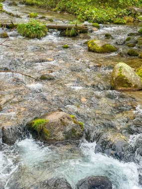 Zakopane Polonya 'nın yaz arazisi yakınlarındaki Tatra ormanında yosunların üzerinden akan çağlayan dağ akıntısı kayaları ve kayaları kaplıyordu. Yüksek kalite fotoğraf.