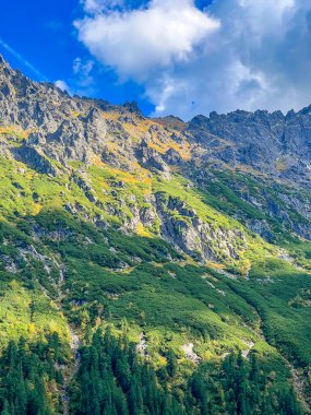 Zakopane Polonya 'nın Alp Dağları' ndaki bulutlu gökyüzünün altında kayalık uçurumlar ve yeşil bitki örtüsü yamaçlarıyla dramatik Tatra zirveleri. Yüksek kalite fotoğraf.