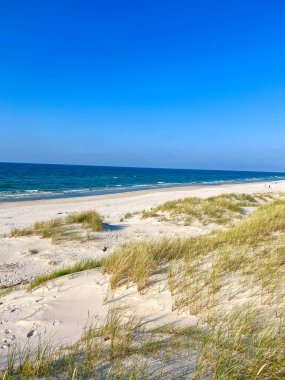 Leba Polonya 'daki sakin Baltık Denizi' ne bakan kumlu kumullarla kaplı doğal kıyı manzarası. Yüksek kalite fotoğraf