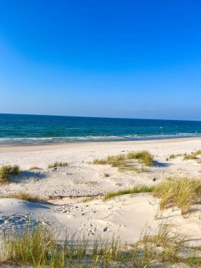 Leba Polonya 'da yaz mevsiminde beyaz kumlu kumsal, yabani çimen tepeleri ve gök mavisi sularıyla Baltık Denizi sahili kıyıları. Yüksek kalite fotoğraf