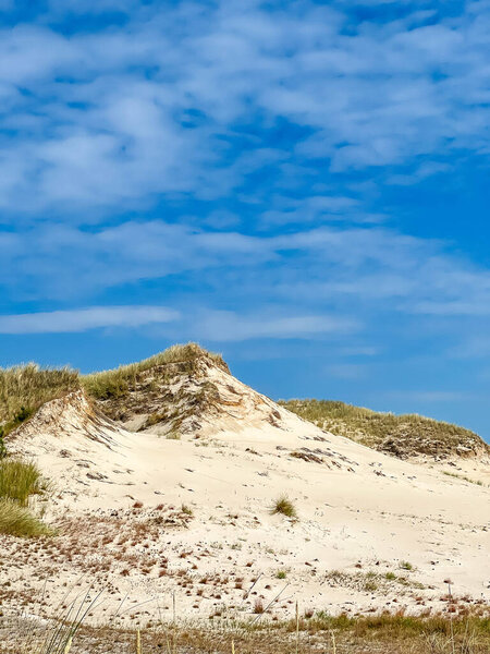 Large white sand dune formations with wild grasses under blue sky in Leba Poland Baltic coastal area. High quality photograph